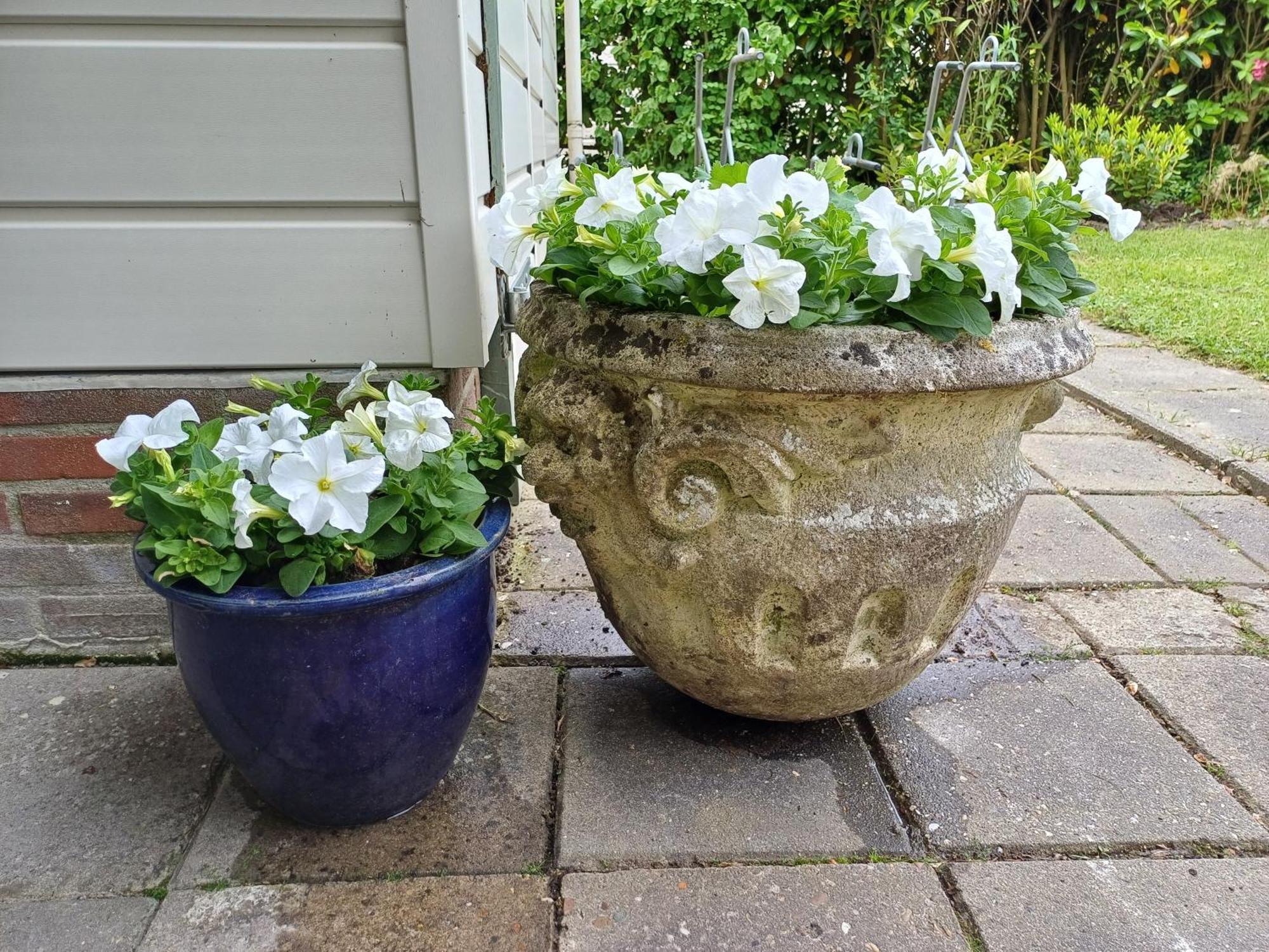 Vrije Vogels Villa Warmenhuizen Buitenkant foto