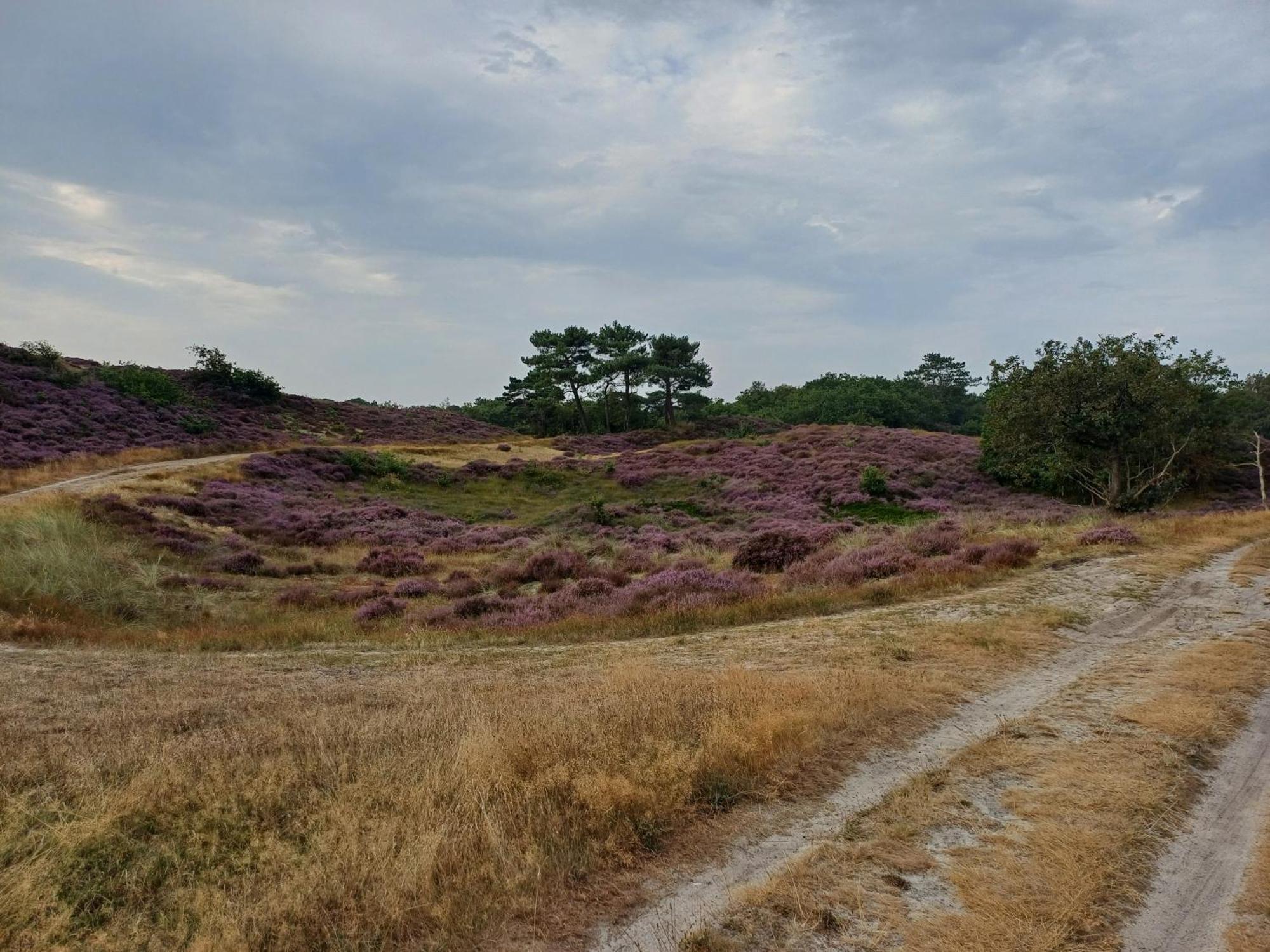 Vrije Vogels Villa Warmenhuizen Buitenkant foto